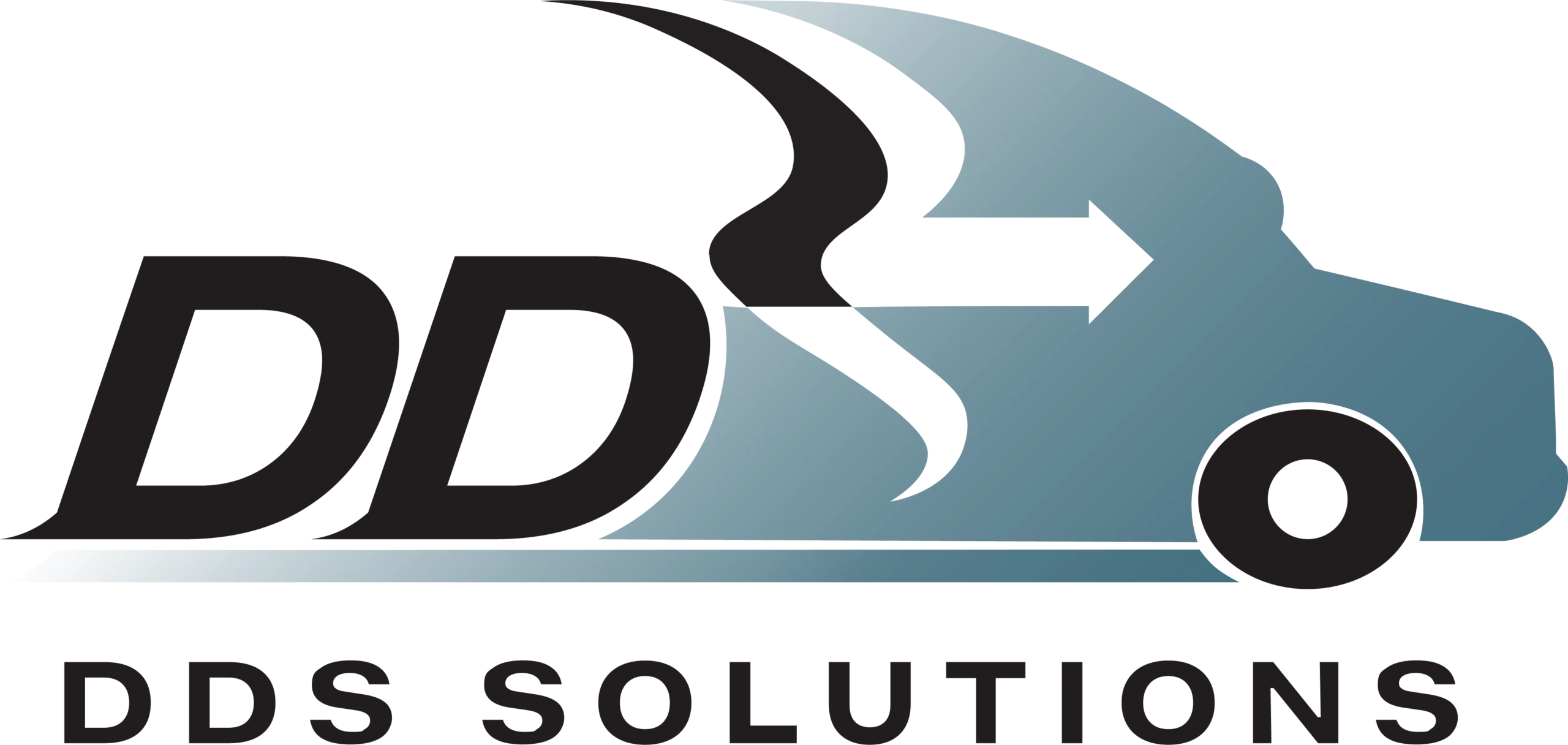DDS Solutions_Logo_July 14 2026_Final